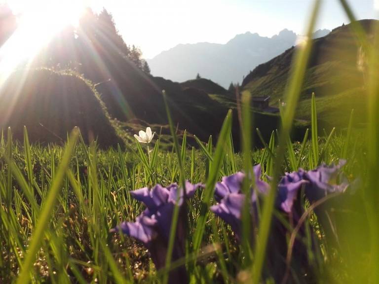 foto16