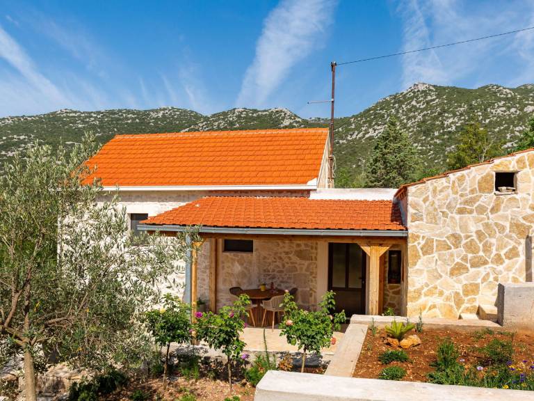 Hus Ploče