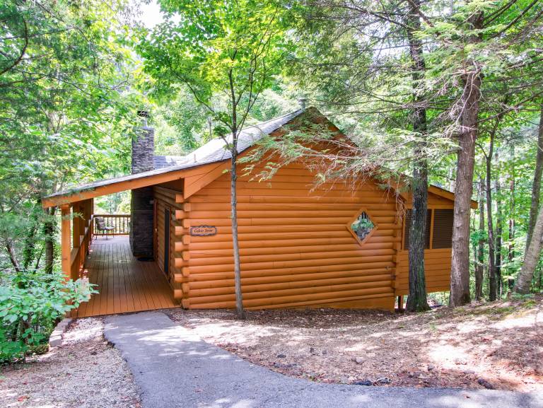 House with fast internet, pool & barbecue in Pigeon Forge, TN