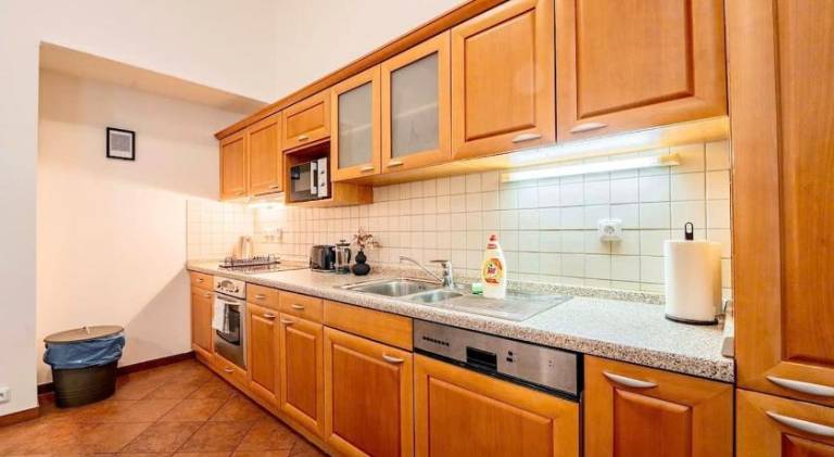Beautiful serviced apartment | Close to Prague astronomical clock | Dogs allowed — photo 3