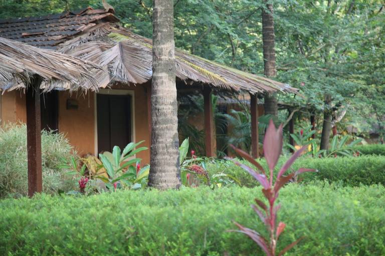 Lodge  Surla