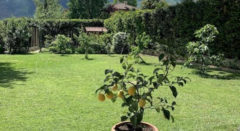 foto19