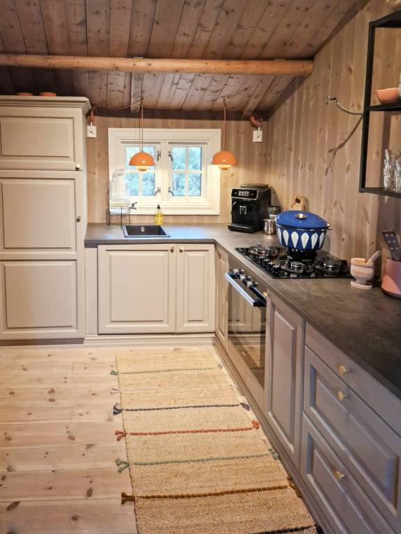 Ferienhaus mit Hund in Høye, Norwegen fuer max. 4 Personen