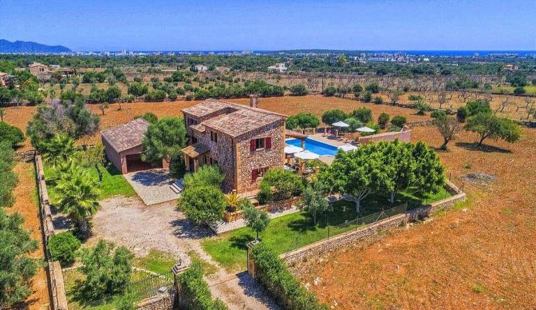 Dom  Cala Millor