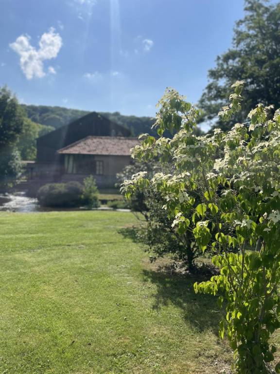 foto22
