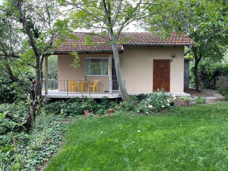 Hus  Zlatni pjasătsi
