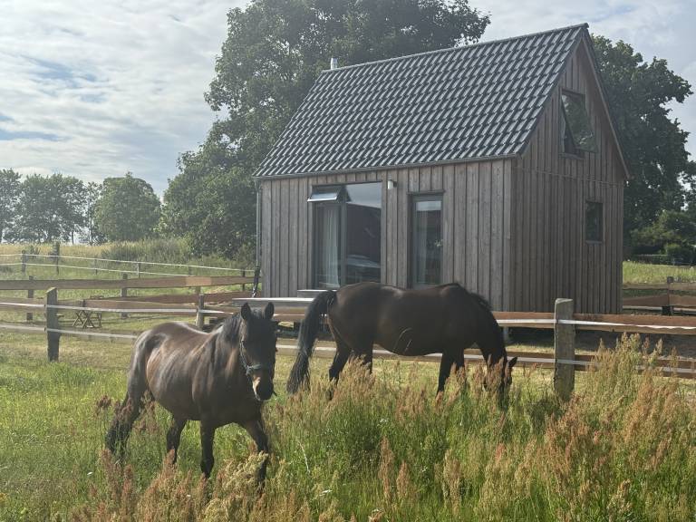 Gemütliches Haus mit Terrasse und Hot Tub für Familien — photo 5