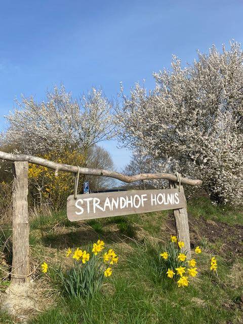 Strandhof Holnis — photo 3