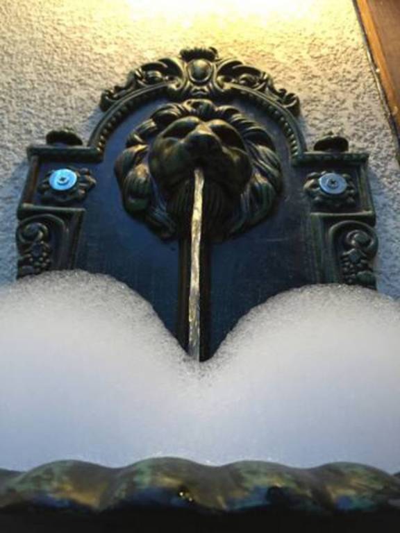 foto10