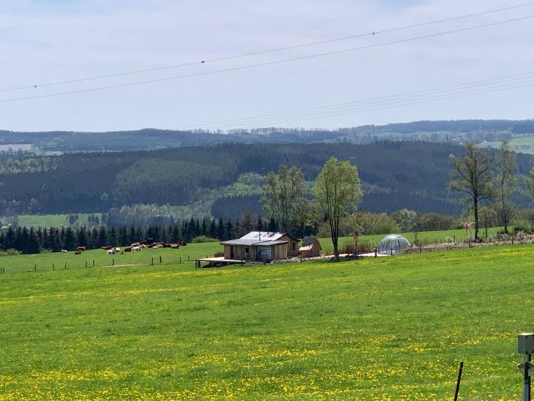 foto5