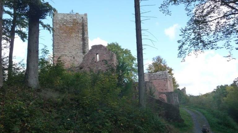 foto2