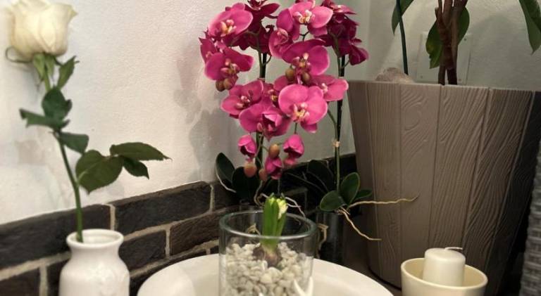 foto2