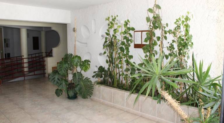 Apartment | Close to the beach | Pets allowed — photo 3