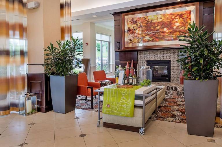 Hilton Garden Inn St Louis Airport