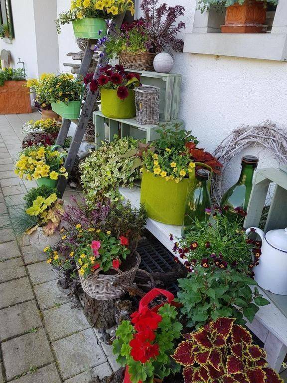 foto25