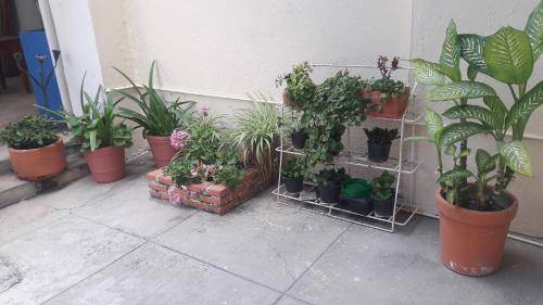 foto11