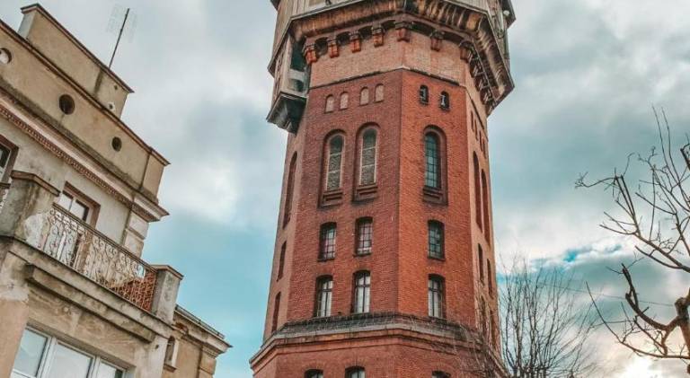 Serviced apartment with yard | Good for workation | Pet-friendly in Swidnica