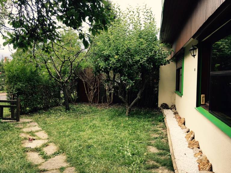 foto6