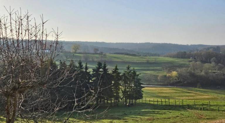 Holiday apartment with 1 room for 4 persons — photo 5