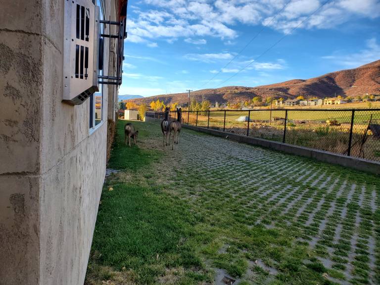 foto17
