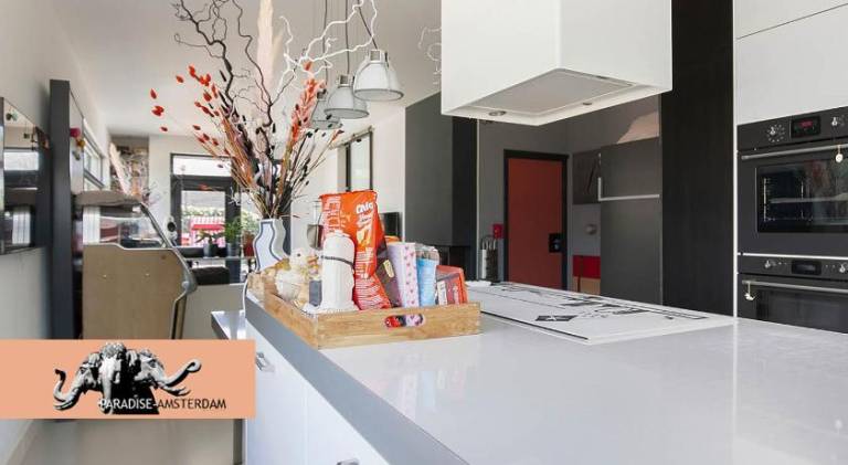 Paradise Amsterdam bungalow of 80 m2 with private pool - inclusive, breakfast, parking, use of bikes — photo 4