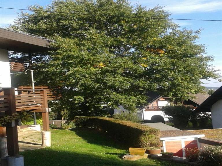 Ferienwohnung Montabaur