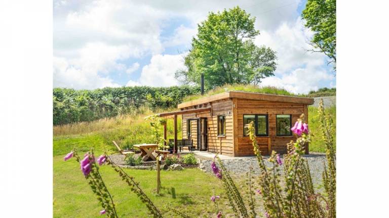 Cabin Blaenwaun