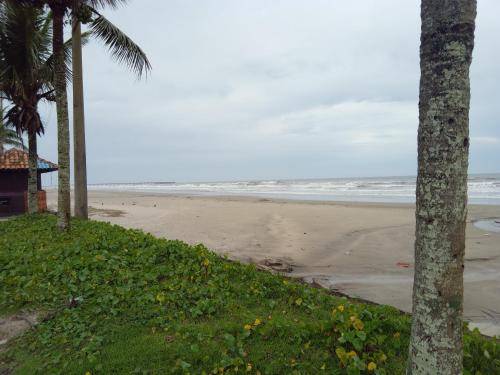foto6