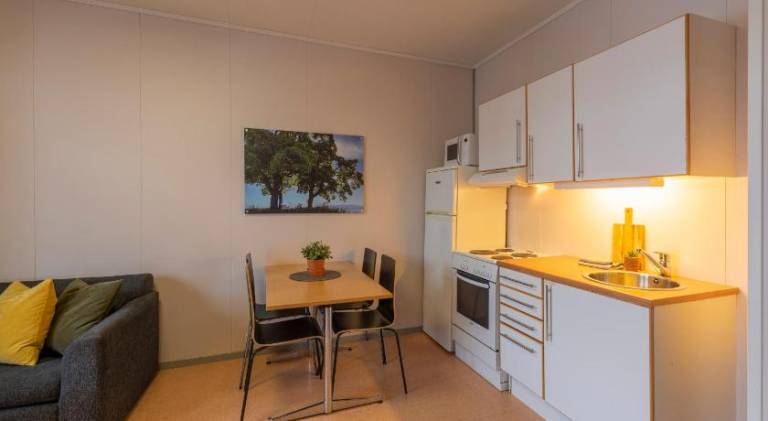 Vikingskipet Hotell — photo 5