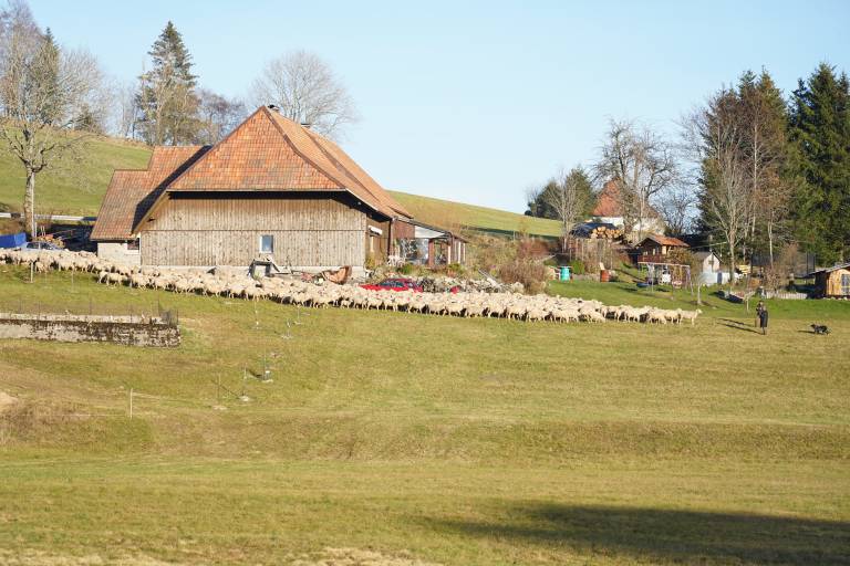 foto25