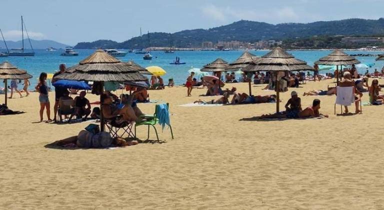 Wonderful holiday apartment | Close to the beach | Pets allowed — photo 5