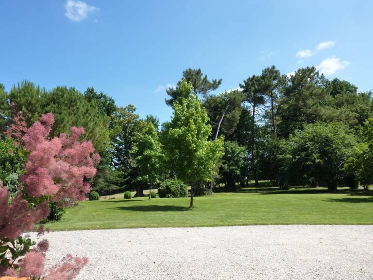 Family-oriented vacation home with barbecue, terrace & private pool | Pool view | Pets are welcome — photo 5