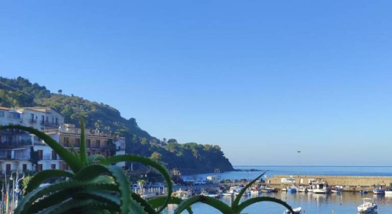 Beautiful rental apartment | Beach nearby | Dogs allowed — photo 4