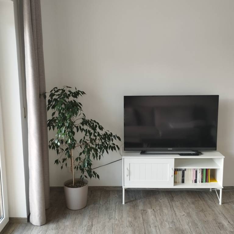 Holiday apartment with fast internet | Garden view — photo 4