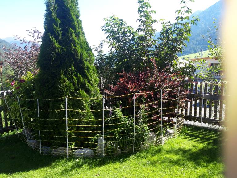 foto7