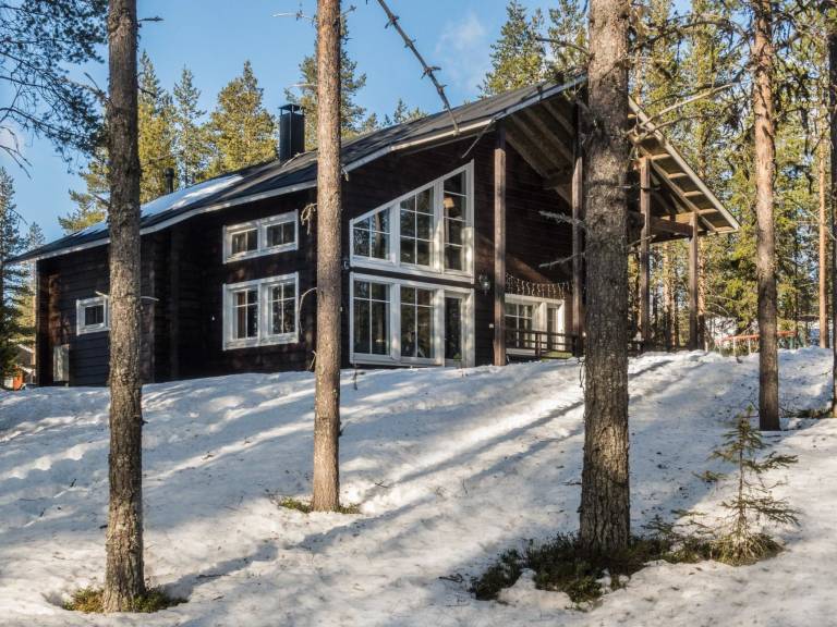 Vacation home with sauna — photo 5