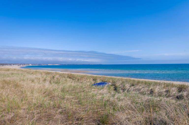 Cape Escape – Dog Friendly & Steps to the Sea — photo 4