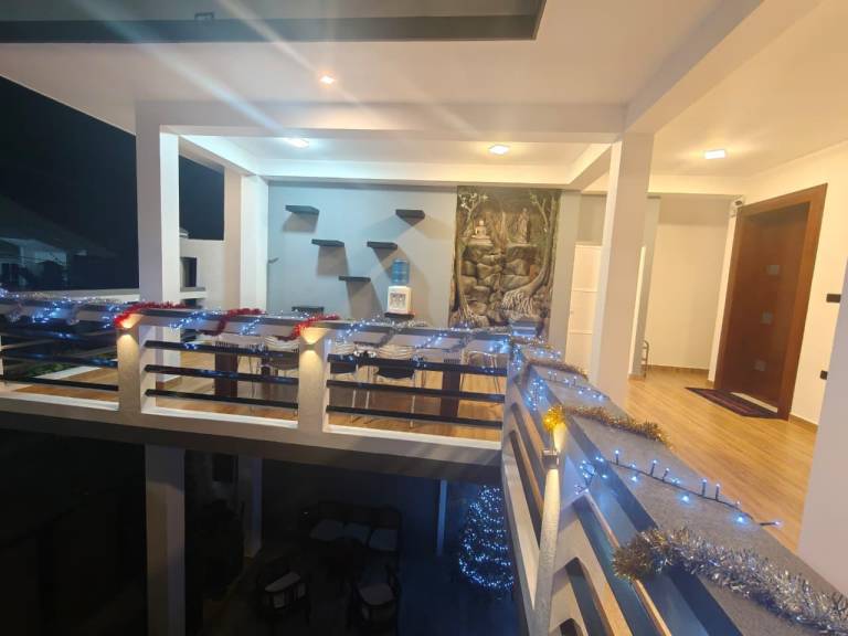 Spacious vacation home | Next to the beach | Pets are welcome — photo 4