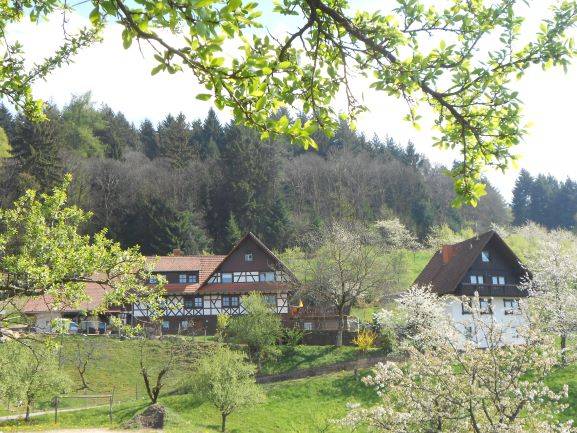 Ferienwohnung Ottenhöfen im Schwarzwald
