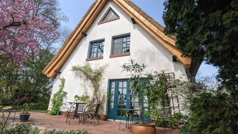 Ferienhaus Malchiner See