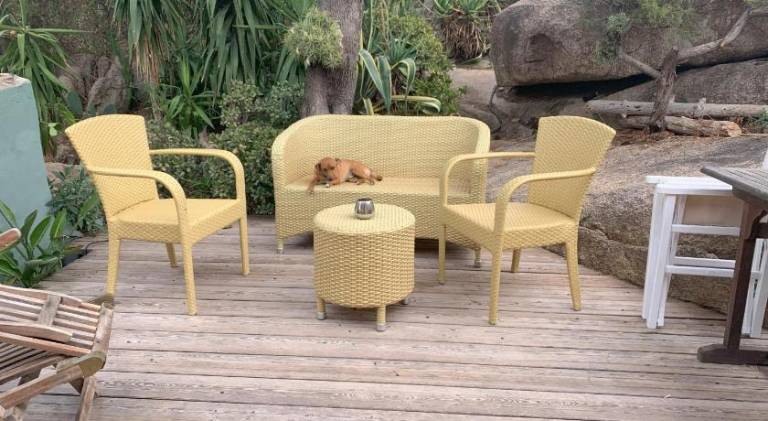 House with patio & yard | Dogs allowed — photo 5