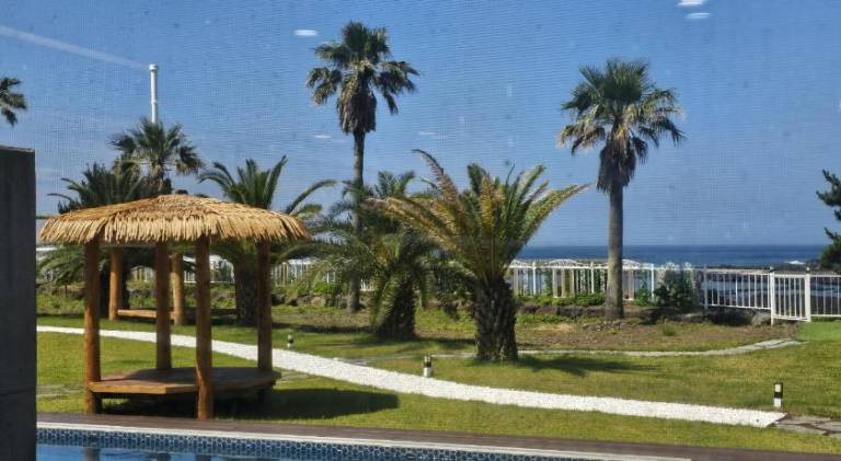 foto11