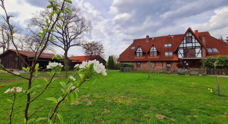 Rental apartment with 2 rooms for 5 persons in Elmshorn