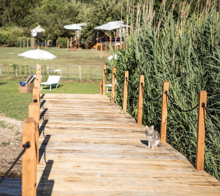 Appartamento con servizi da hotel Caprarola