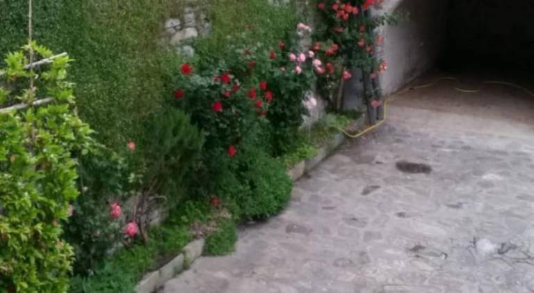 foto30