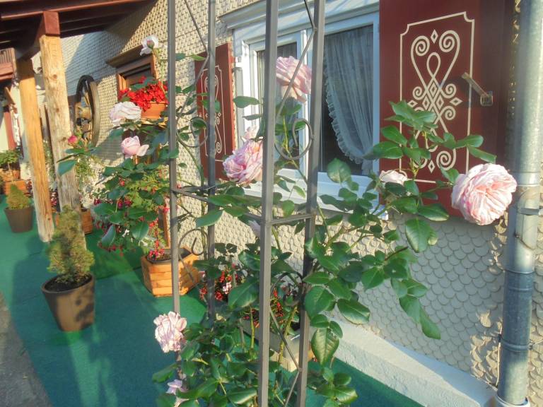 foto29
