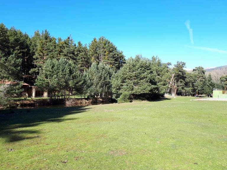 foto4