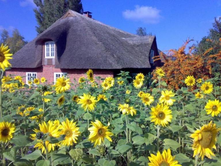 Ferienhaus in Quaal, Riepsdorf f&uuml;r max. 6 Personen