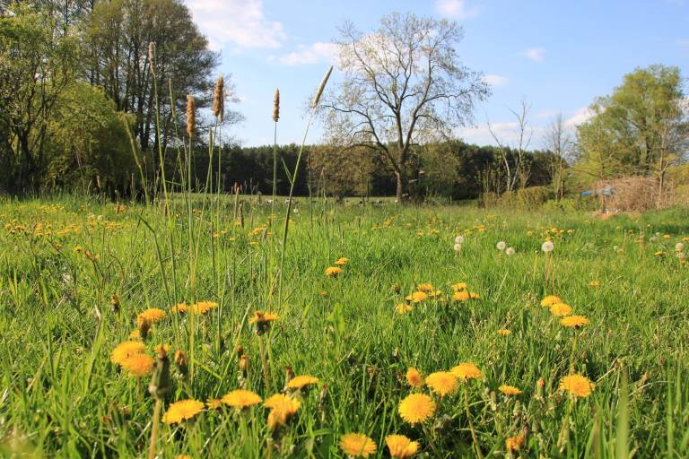 Ferienwohnung Bad Belzig