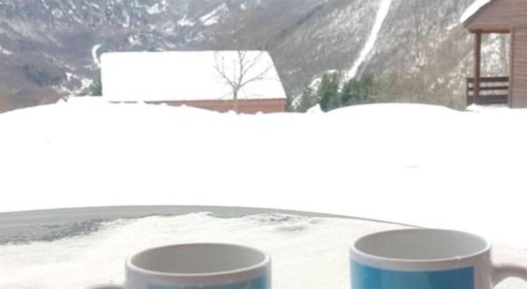 Nice rental apartment with pool | Pets allowed in Foix
